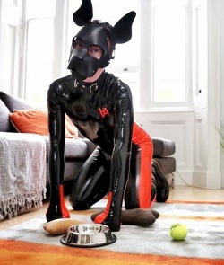 Puppie domi pour puppie soumis