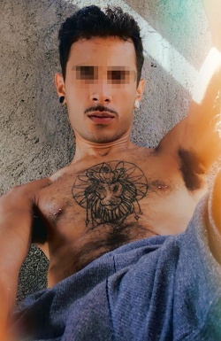 Summer in Corsica