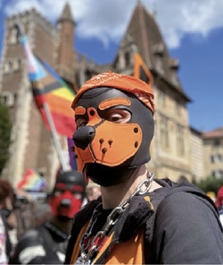 TOUT SUR LE PUPPY-PLAY