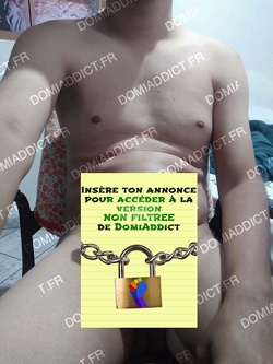 Tortionnaire recherche larbin domestique dans le 77