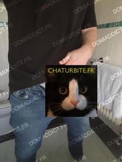 Soumis à ma grosse bite
