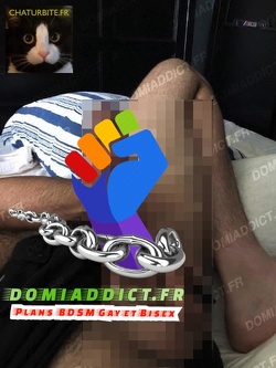 Offre-moi tes rondeurs ou ton beau gros cul à dilater