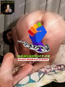 Recherche maître réel