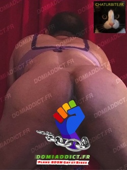 Pute à Mecs