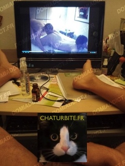 Qui pour être en adoration devant mes panards et ma teub de minet