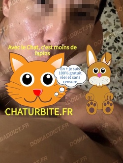 Qui pour m'en mettre plein la face
