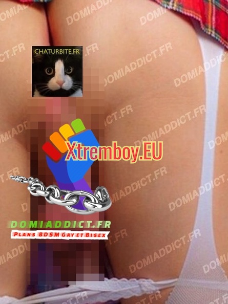 travestipassive60.jpg