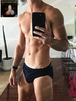 ch Dominateur (Looking for Sadistic Owner)