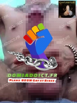 Bon actif Domi pour son slave