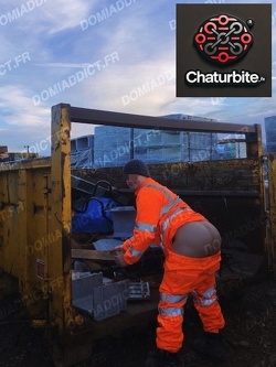 cuve à inséminer