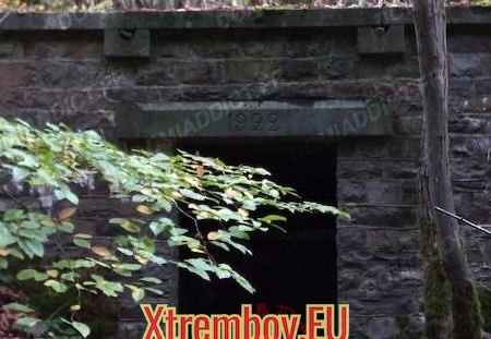 Le martinet dresseur