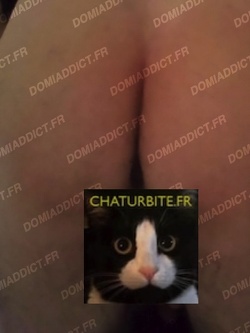 Cherche actif