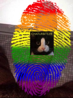 Tunisien actif recherche sénior passif gay sur Bordeaux