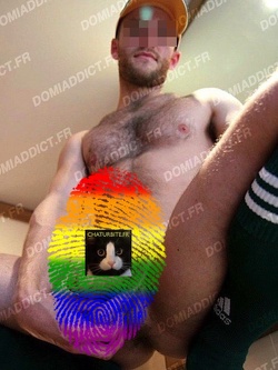 Je recherche un maitre disponible