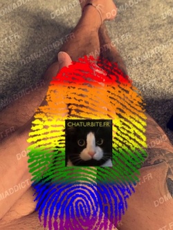 tits, balls, tongue, cock, nose socks feet