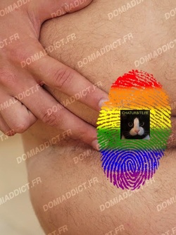 Bogoss à dresser