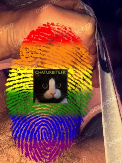 Bite puante