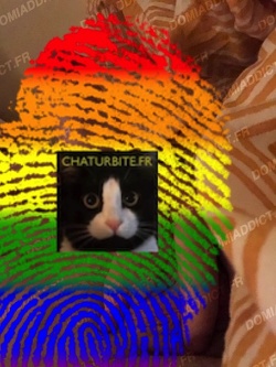 Fellation en PACA