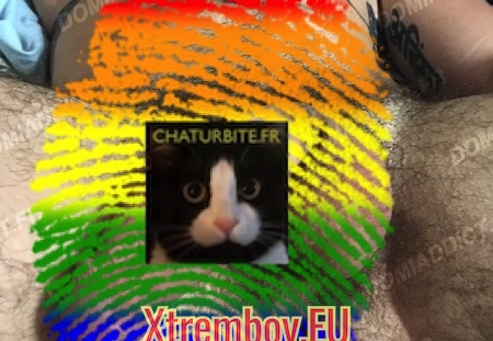 Initiation au plug anal