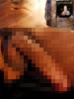 Marseillais tunisien cherche minet passif pour plan gay