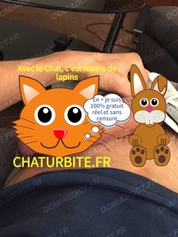 Maître la trentaine te veut soumis et docile