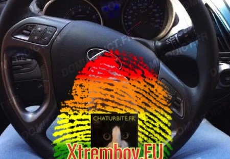 Lope parisienne castrée