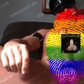 PERV75FAB