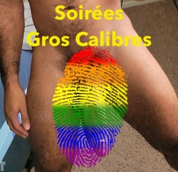 Gros calibres
