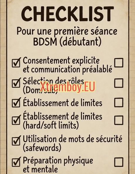 Checklist pour une première séance BDSM (débutant).jpg